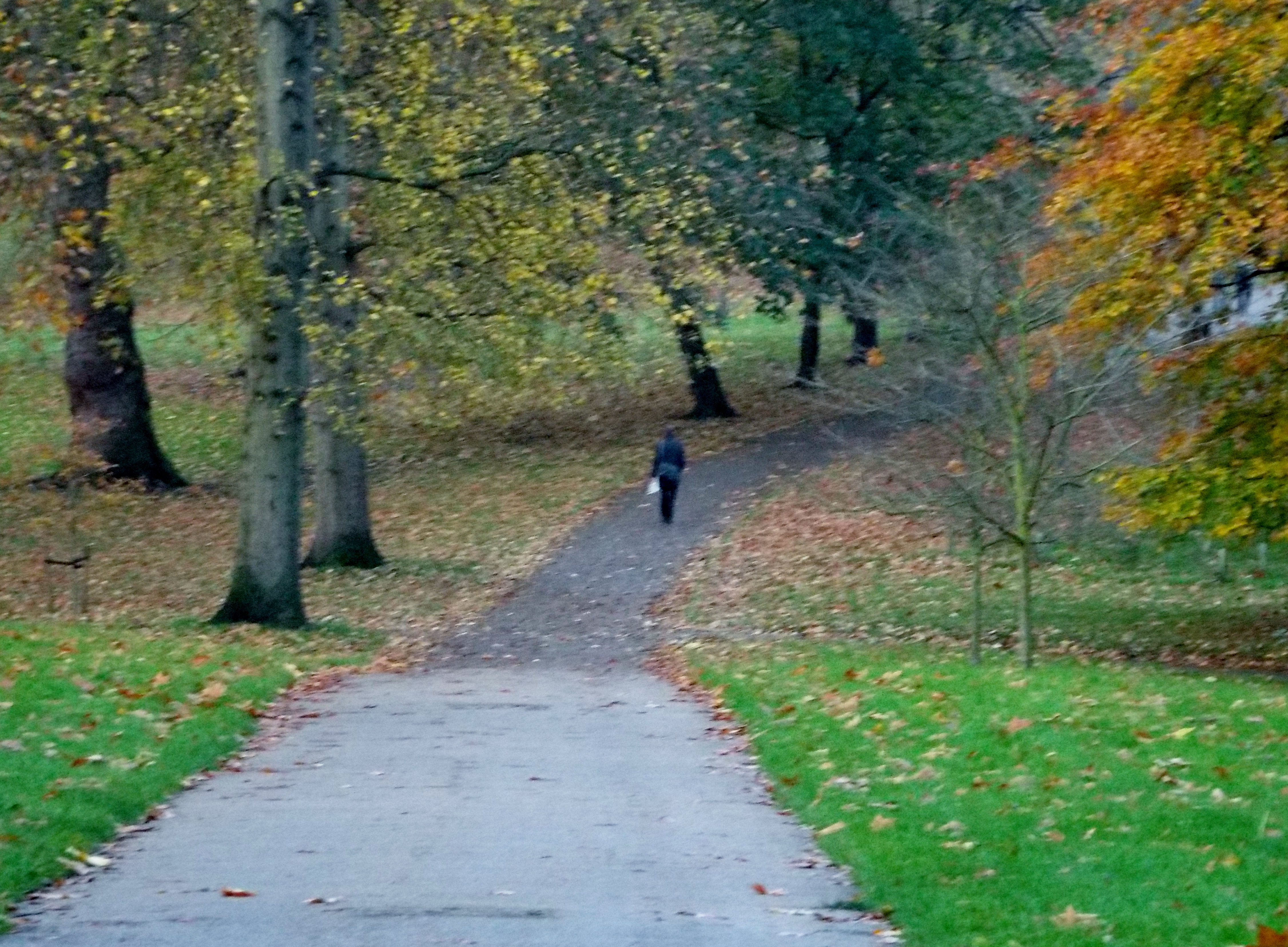 While not your traditional landscape, this shot of a lone walker in Green Park, in Central London near Buckingham Palace is, you have to admit, a peaceful shot.